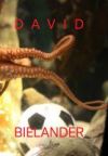 David Bielander, Twenty Years